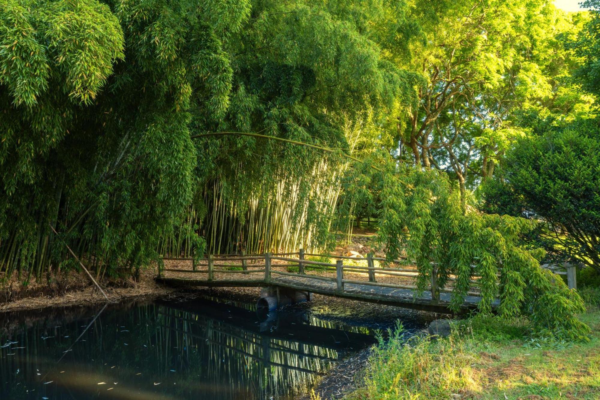 Hana Lodge Rotorua Ngoại thất bức ảnh